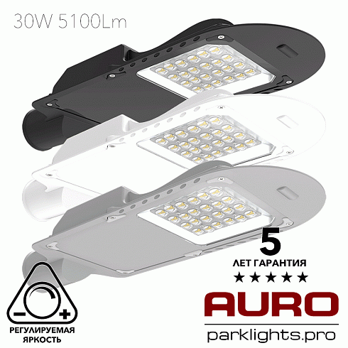 Уличный светодиодный светильник AURO-STREET-C1-30