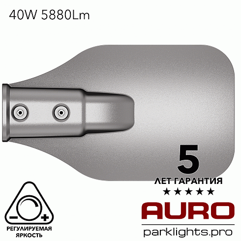 Уличный светодиодный светильник AURO-STREET-C2-40
