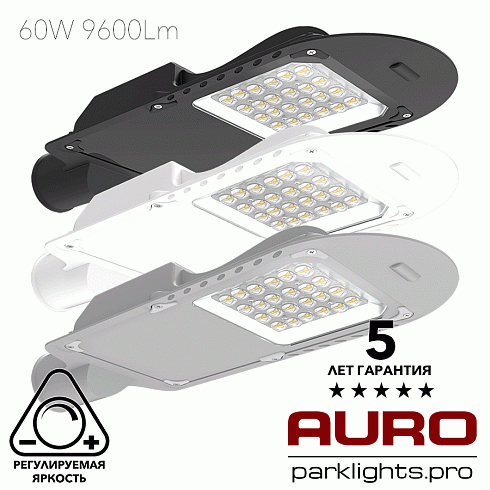 Уличный светодиодный светильник AURO-STREET-C1-60
