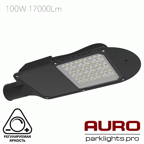 Уличный светодиодный светильник AURO-STREET-C1-100