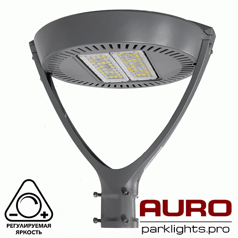 Мощный парковый светодиодный светильник AURO-GARDEN-2-120