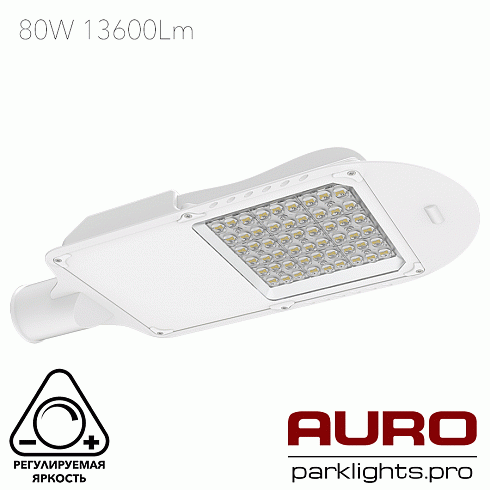 Уличный светодиодный светильник AURO-STREET-C1-80