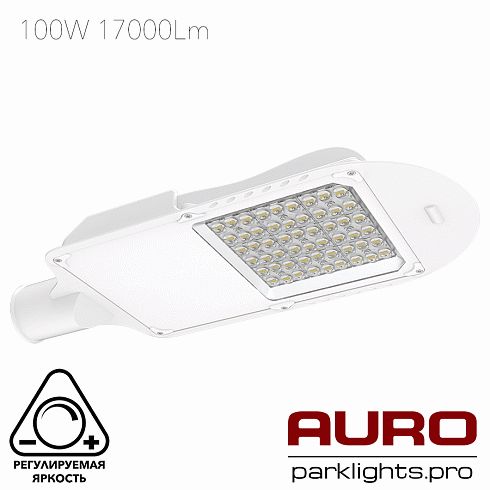 Уличный светодиодный светильник AURO-STREET-C1-100